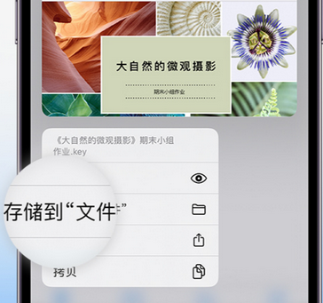 梅江apple维修中心分享iPhone文件应用中存储和找到下载文件