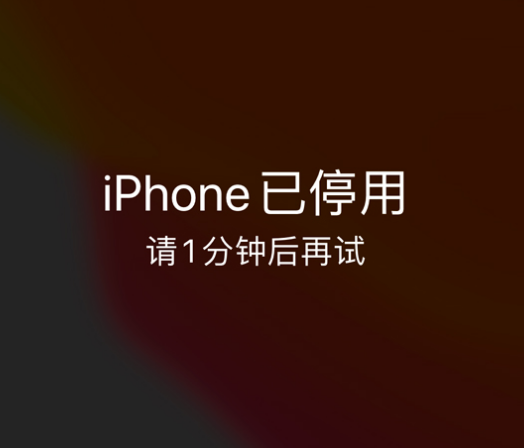 梅江苹果手机维修分享:iPhone 显示“不可用”或“已停用”怎么办？还能保留数据吗？ 