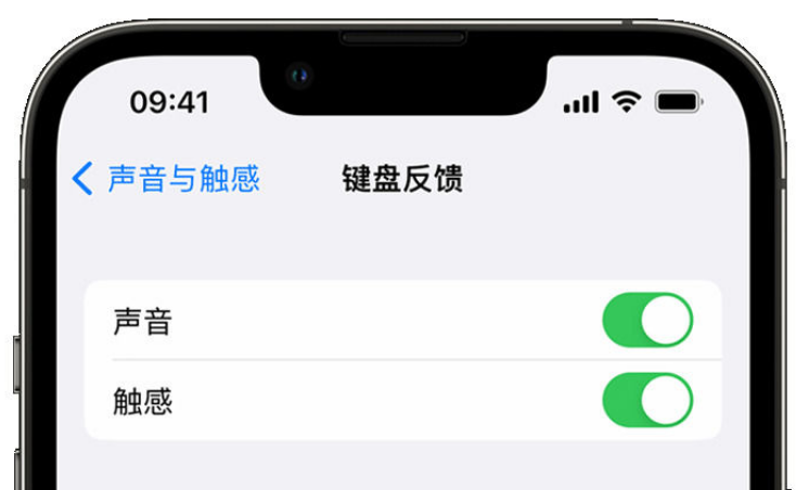 梅江苹果手机维修分享iPhone 14触感键盘使用方法 