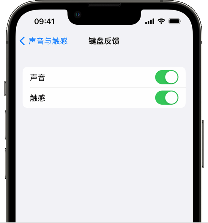 梅江苹果14维修店分享如何在 iPhone 14 机型中使用触感键盘 