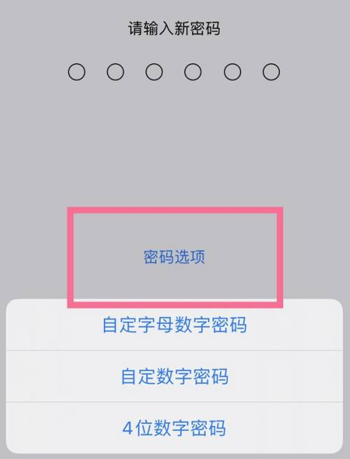 梅江苹果14维修分享iPhone 14plus设置密码的方法 