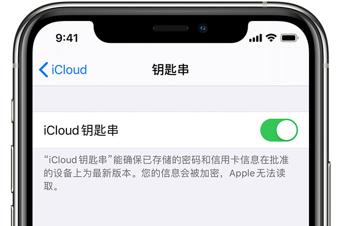 梅江苹果手机维修分享在 iPhone 上开启 iCloud 钥匙串之后会储存哪些信息 