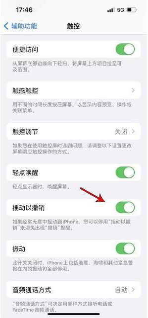 梅江苹果手机维修分享iPhone手机如何设置摇一摇删除文字 